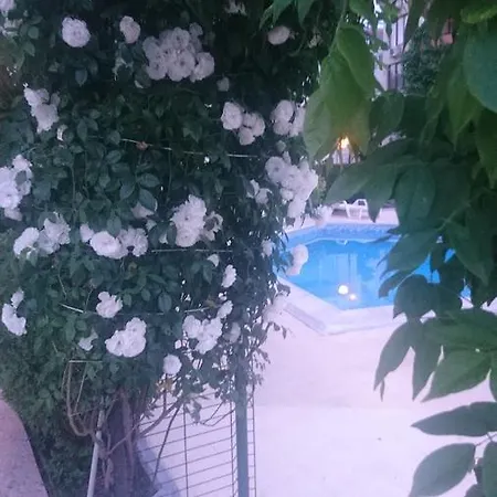 Apartment Breeze *